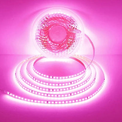 BoostGear – Bande LED Flexible 10m